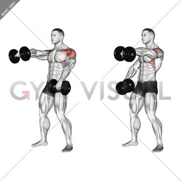 Dumbbell Standing Alternate Raise