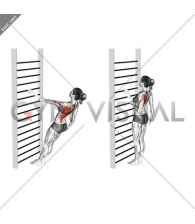 Bodyweight Standing One Arm Row (with towel) (female)