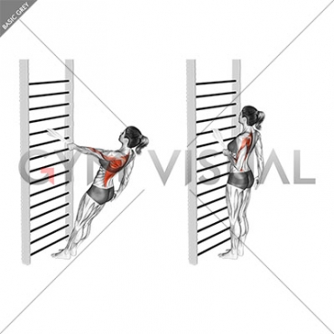 Bodyweight Standing One Arm Row (with towel) (female)