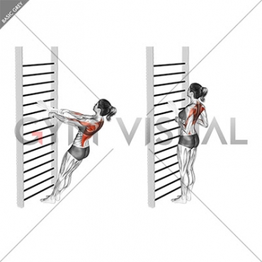 Bodyweight Standing Row (with towel) (female)