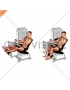 Lever Seated Leg Curl