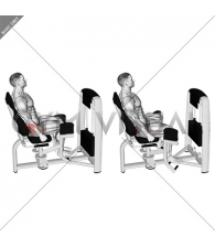 Lever Seated Hip Abduction