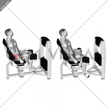 Lever Seated Hip Abduction