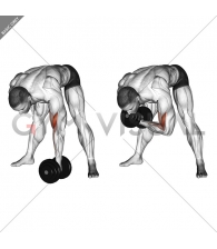 Dumbbell Standing Concentration Curl