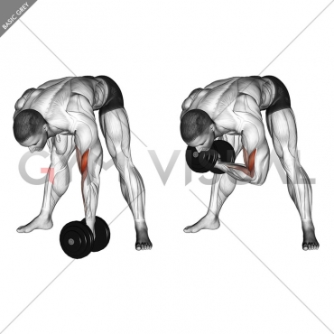 Dumbbell Standing Concentration Curl