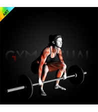 Deadlift - Start pose