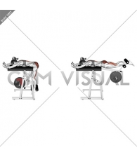 Lever Reverse Hyperextension (plate loaded) (female)