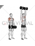 Dumbbell Standing Front Raise Above Head