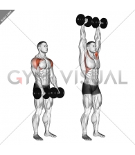 Dumbbell Standing Front Raise Above Head