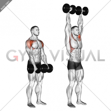 Dumbbell Standing Front Raise Above Head