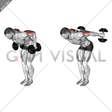 Dumbbell Standing Kickback