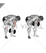 Dumbbell Standing One Arm Concentration Curl