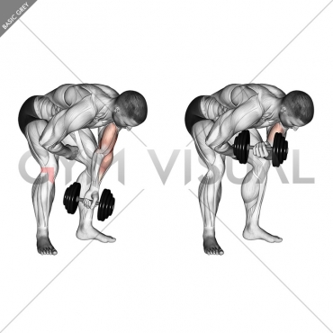 Dumbbell Standing One Arm Concentration Curl