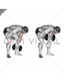 Dumbbell Standing One Arm Concentration Curl