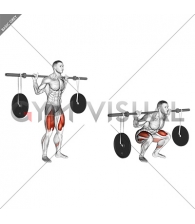 Barbell Squat (with hanging band technique)