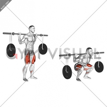 Barbell Squat (with hanging band technique)