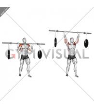 Barbell Military Press (with hanging band technique)