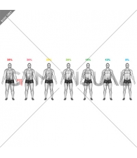 Body Fat Percentage (male)