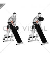 Dumbbell Standing One Arm Curl (over incline bench)