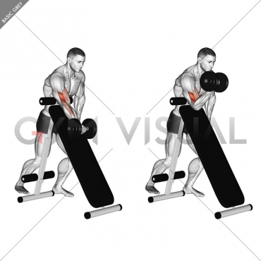 Dumbbell Standing One Arm Curl (over incline bench)
