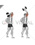 Dumbbell Standing One Arm Extension