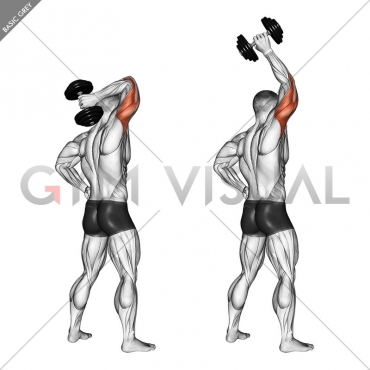 Dumbbell Standing One Arm Extension