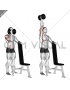 Dumbbell Standing One Arm Palm In Press