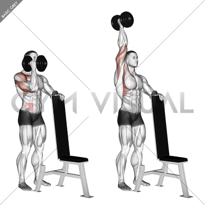 Dumbbell Standing One Arm Palm In Press - Gym visual