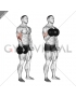 Dumbbell Standing One Arm Reverse Curl