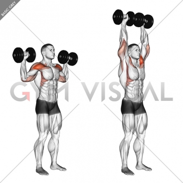 Dumbbell Standing Overhead Press