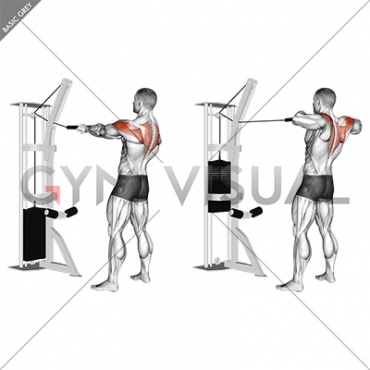 cable rope rear delt rows