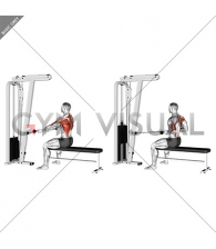 Cable Seated Supine-grip Row (male)