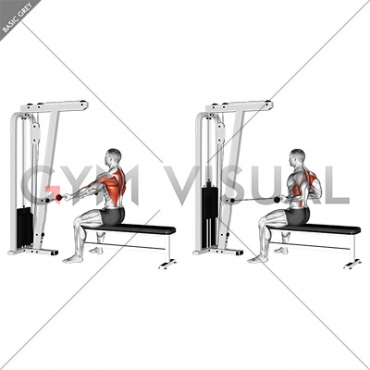 Cable Seated Supine-grip Row (male)