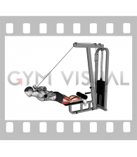 Cable Assisted Inverse Leg Curl