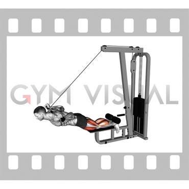 Cable Assisted Inverse Leg Curl