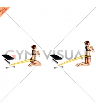 Resistance Band Hip Thrusts on Knees (female)