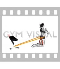 Resistance Band Hip Thrusts on Knees (female)