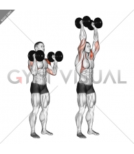 Dumbbell Standing Palms In Press
