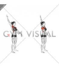 Standing Alternate Arms Circling (female)_Shoulders