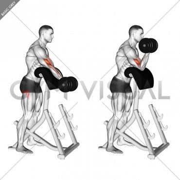 Dumbbell Standing Preacher Curl