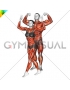 Bodybuilding pose male-female (VERSION 2)