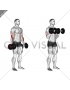 Dumbbell Standing Reverse Curl