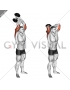 Dumbbell Standing Triceps Extension