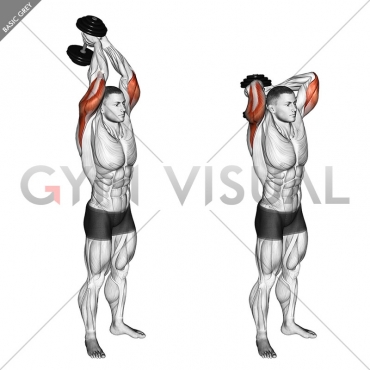 Dumbbell Standing Triceps Extension