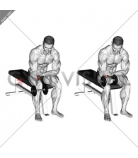 Dumbbell One arm Wrist Curl