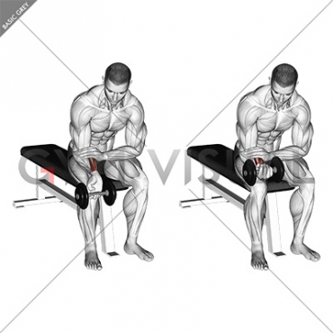 Dumbbell One arm Wrist Curl