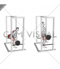 Barbell Rack Pull