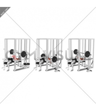 Barbell Weighted Bench Press