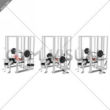 Barbell Weighted Bench Press