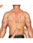 Body fat measurement (male)